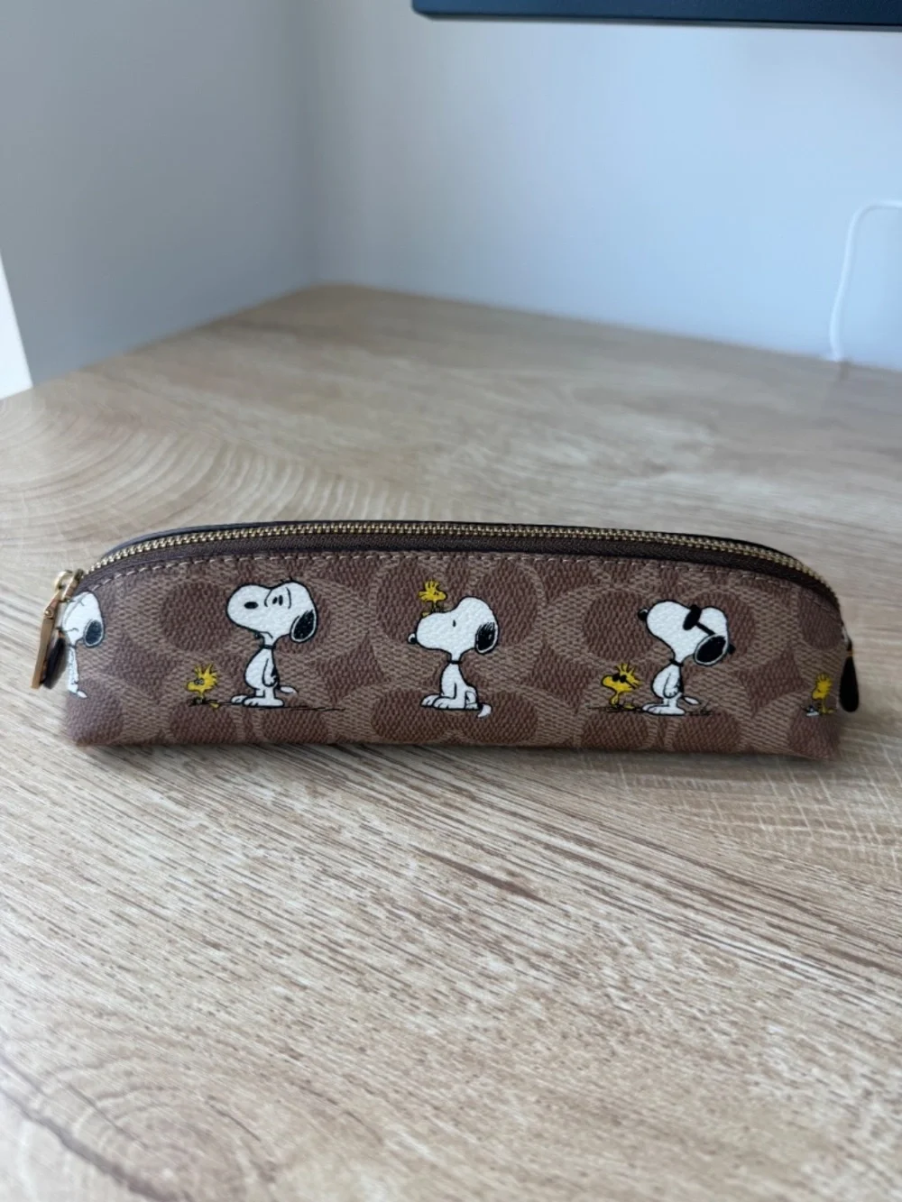 COACH Peanuts Pencil Case + International Charger